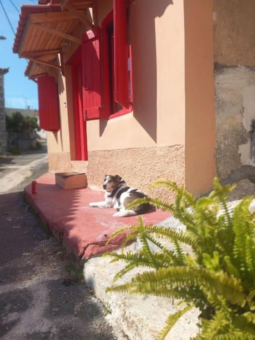 Longá Semeli'S Houseヴィラ エクステリア 写真